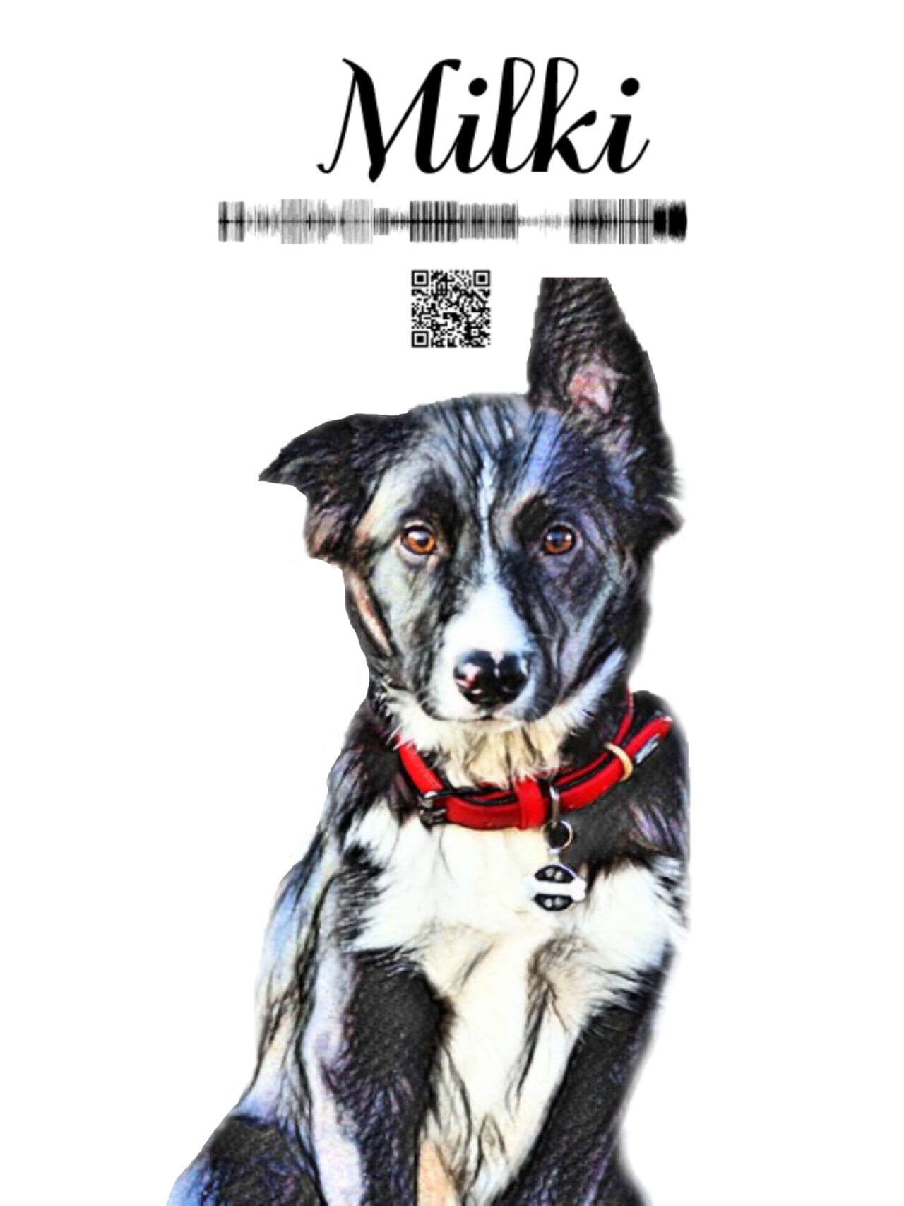 Milki – Color Sketch