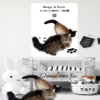 Mango And Peach-Cartton 2 Cats