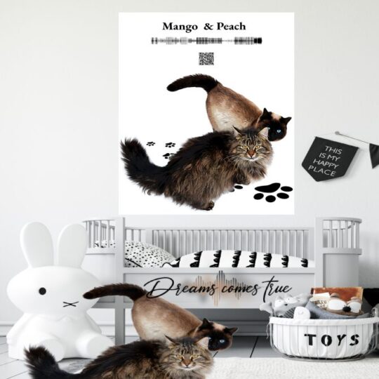 Mango And Peach-Cartton 2 Cats