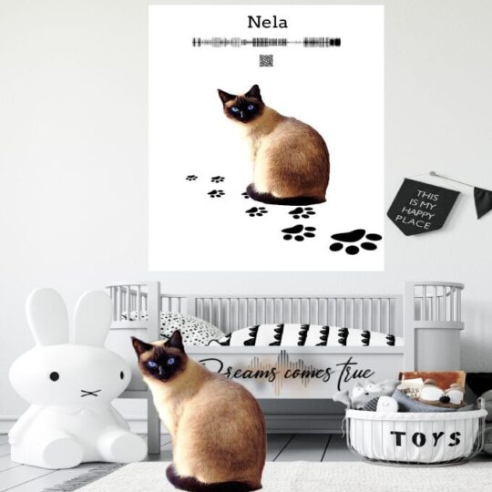 NELLA CARTTOON