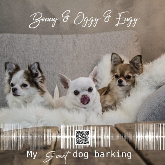 My Baby Dog Barking