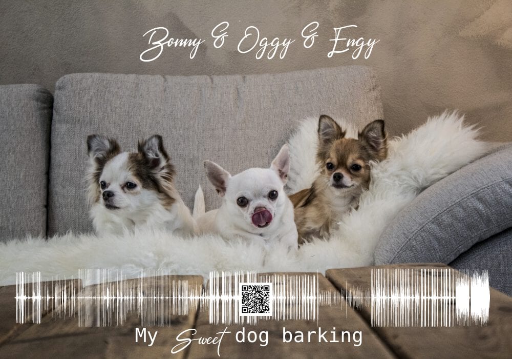 My Baby Dog Barking