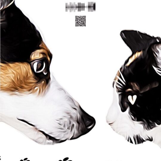 Toy & Tifany - Cartton 2 Pets