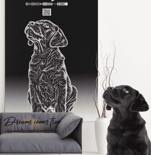 Marly- Black  Sketch