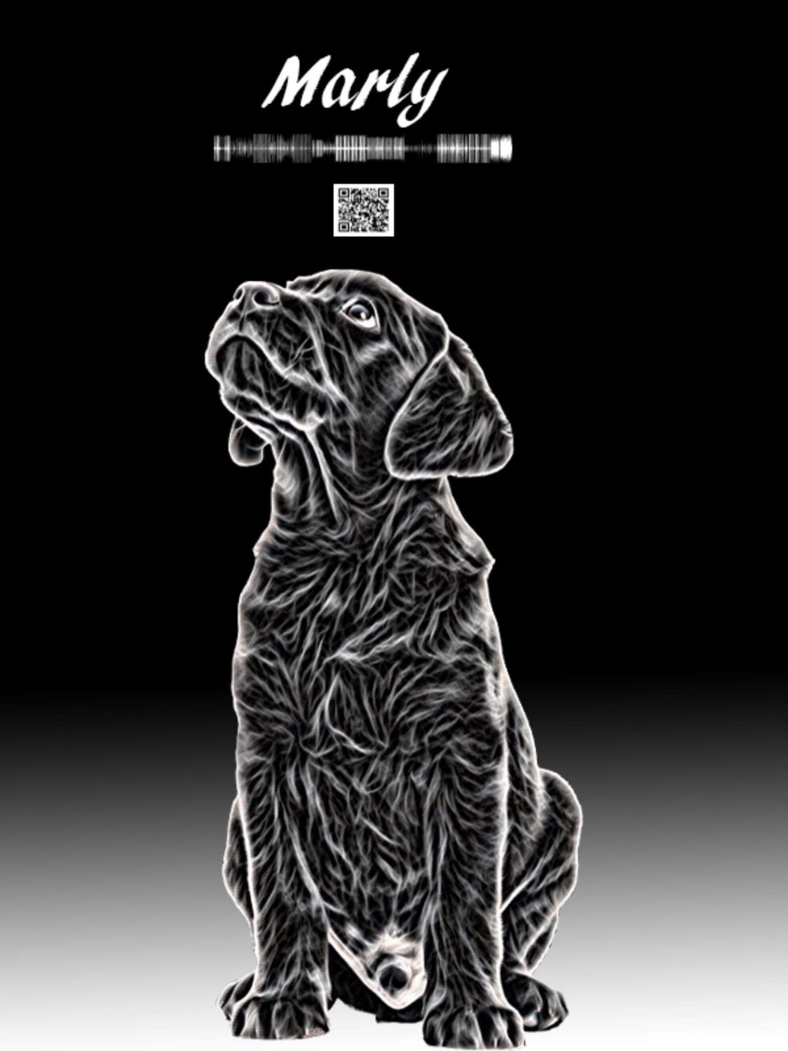 Marly- Black  Sketch - Image 2