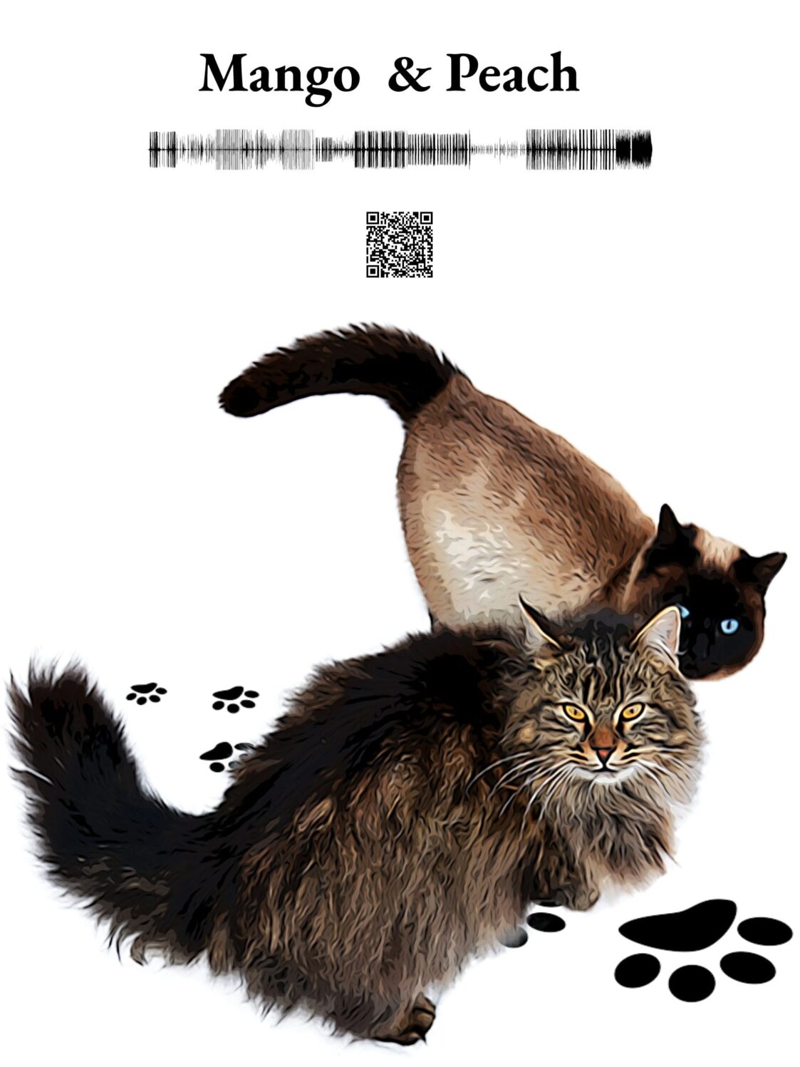 Mango And Peach-Cartton 2 Cats - Image 2